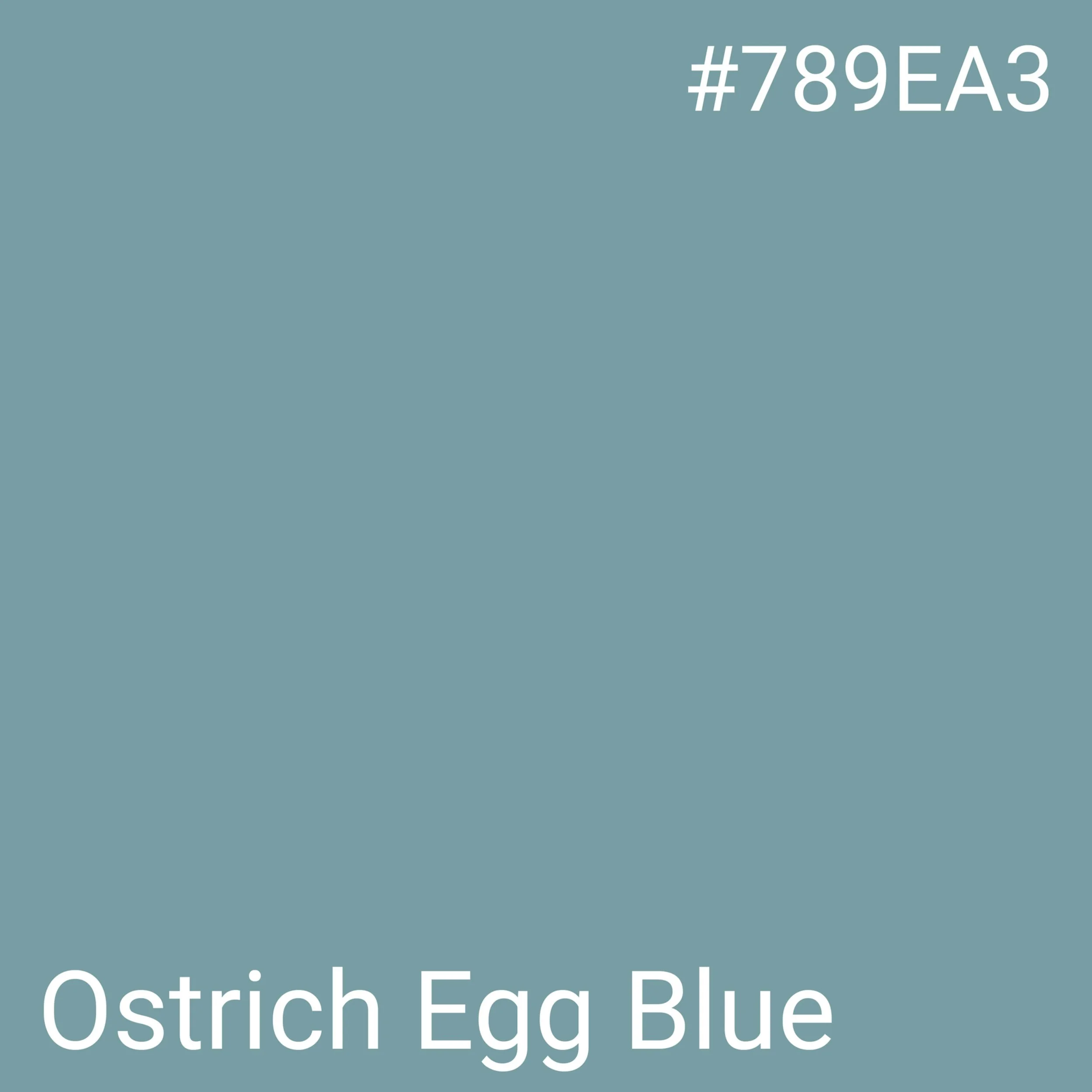 Ostrich Egg Blue.jpg