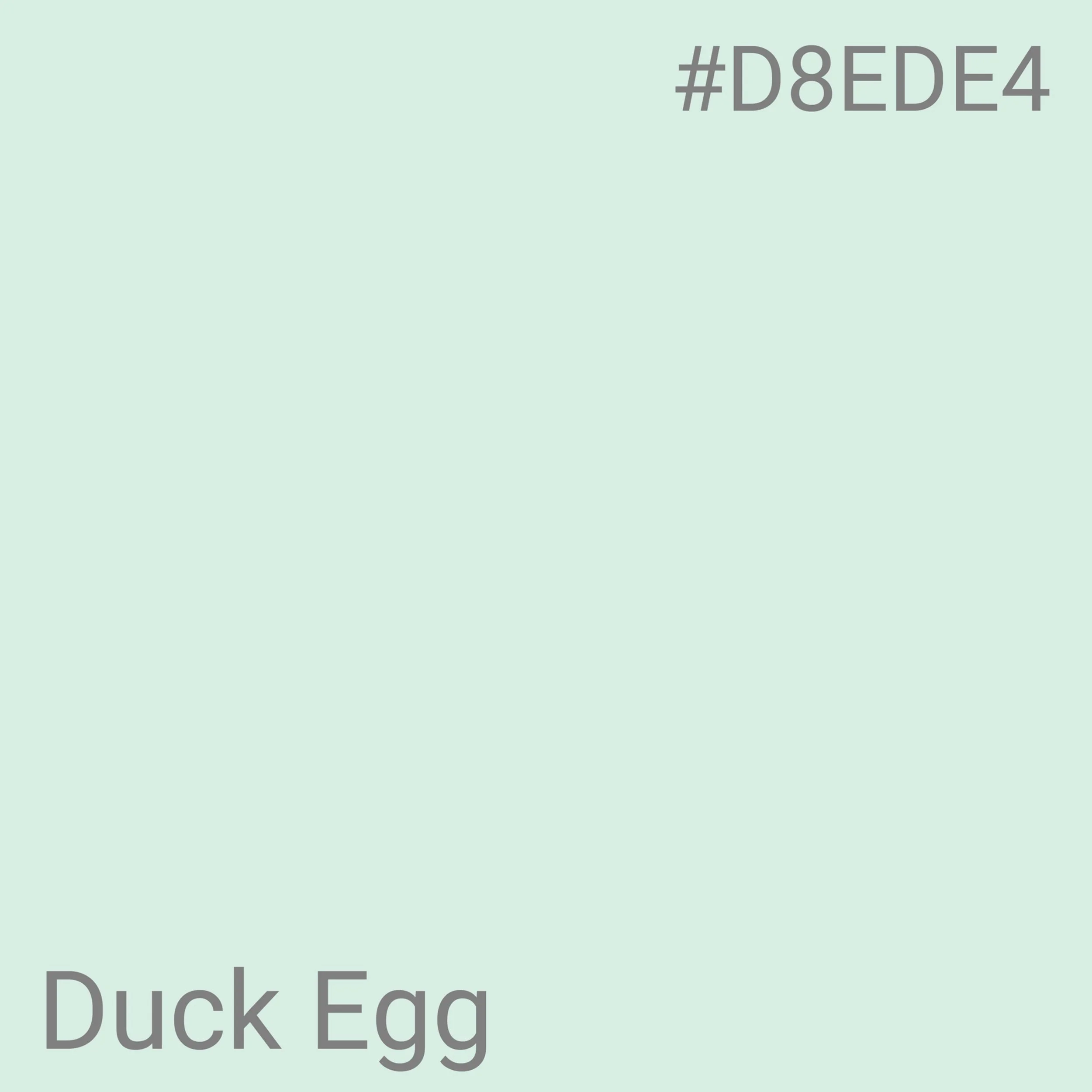 Duck egg.jpg