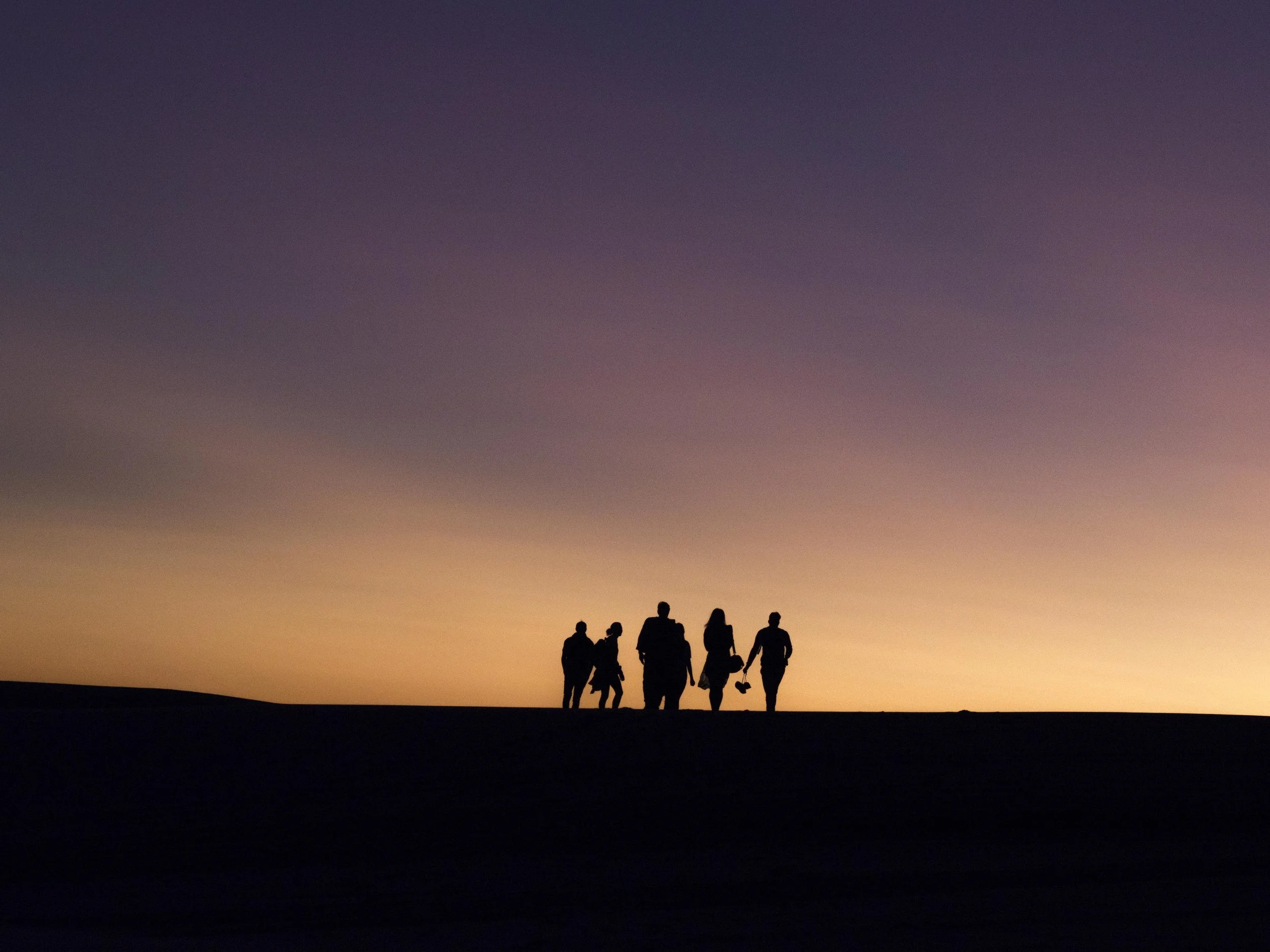 silhouette-people-walking-against-clear-sky.jpg