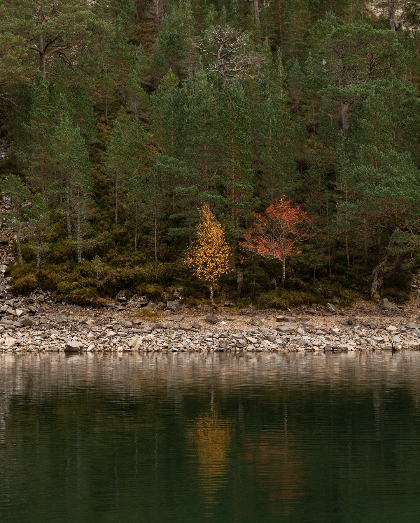 Autumn in the Cairngorms. Looking forward to getting back out soon! Between work, broken cars and everything in between things have been hectic recently, but now that it all slowing down it&rsquo;s time to get back to it.