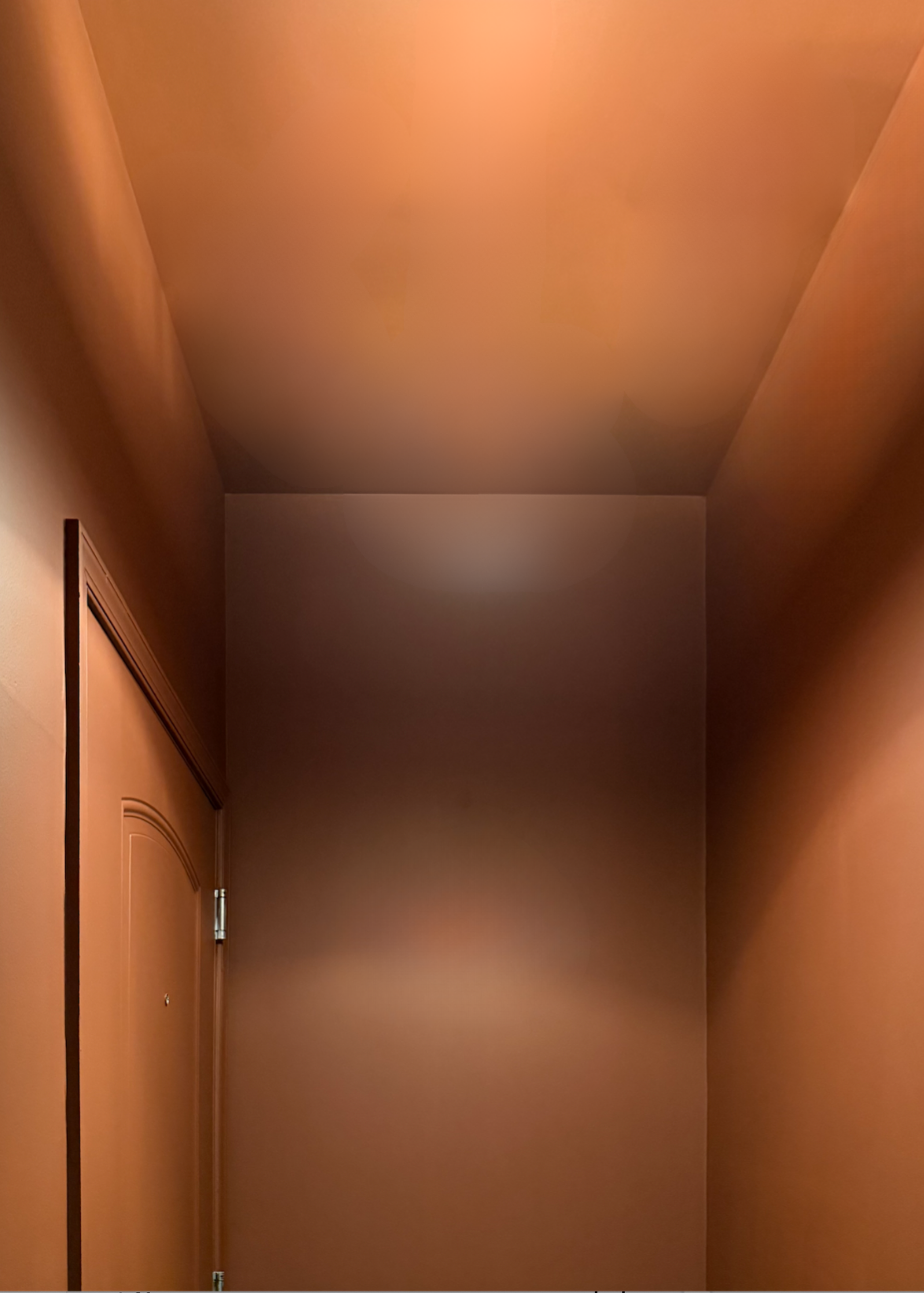 Image of a color drenched hallway painted in a terra cotta interior paint.