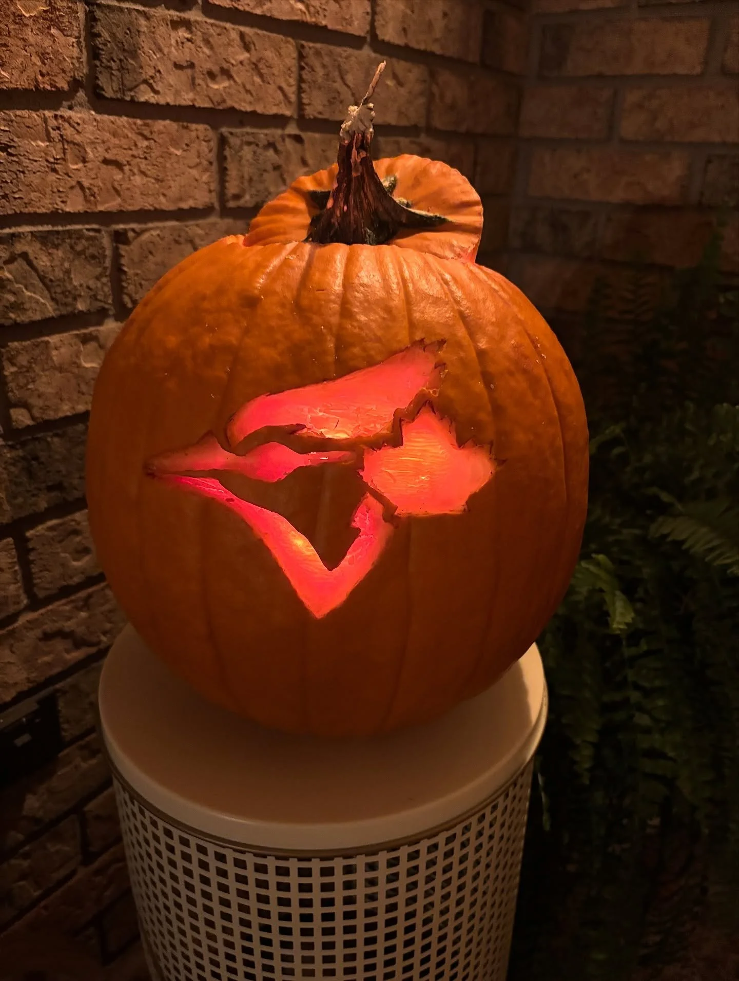 One win away. One nation behind them. Let&rsquo;s carve out a victory, @bluejays #WEWANTITALL