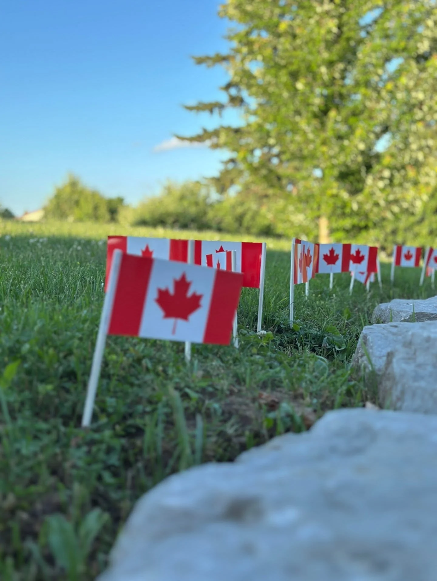 At noon on February 15, 1965, people gathered on Parliament Hill to watch a new red‑and‑white flag rise for the first time. Bundled‑up crowds looked up at a symbol they were seeing in person for the very first time.

Sixty‑one years later, that same 