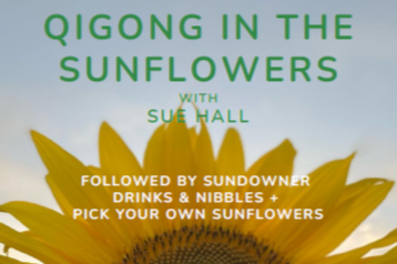 Qigong in the Sunflowers at Punchbowl Farm - Carola Puddy