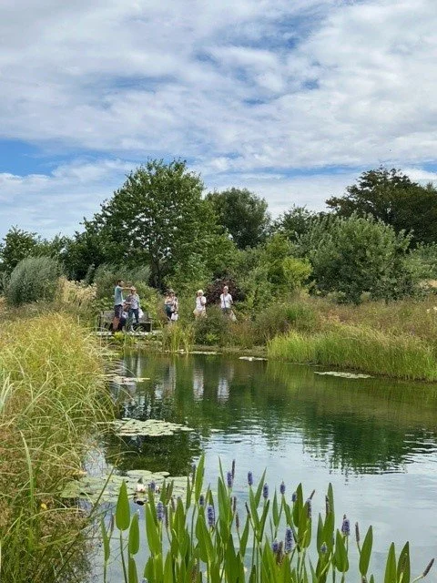 Visit by Codford and District Gardening Club to Gasper Cottage garden on 16th July 2025.
