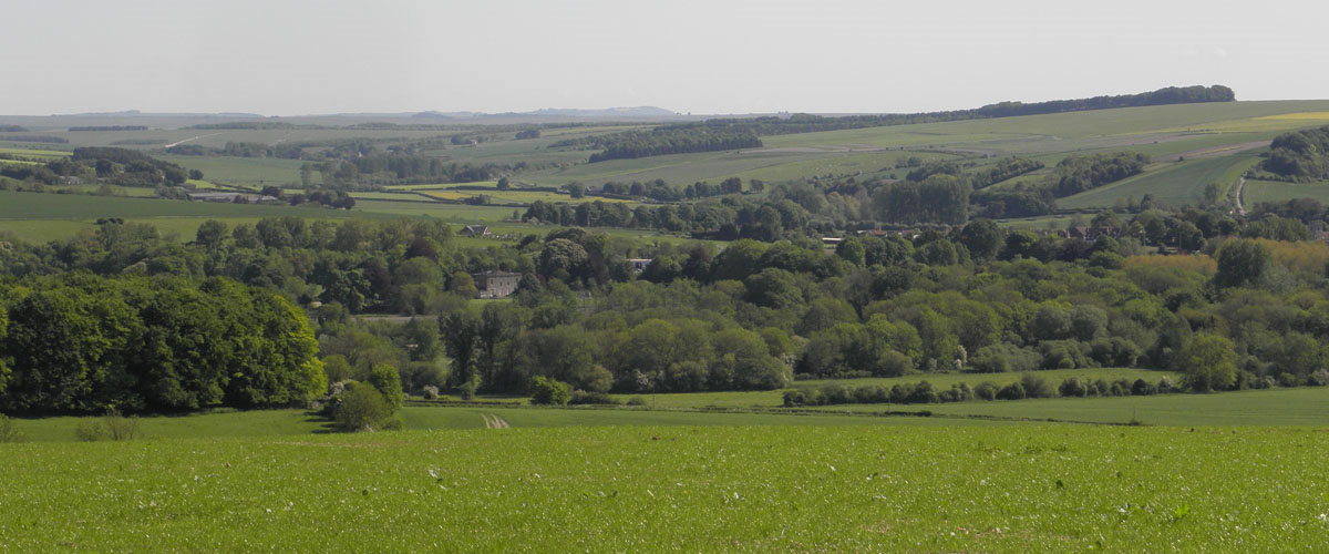 codford_0004_Background.png