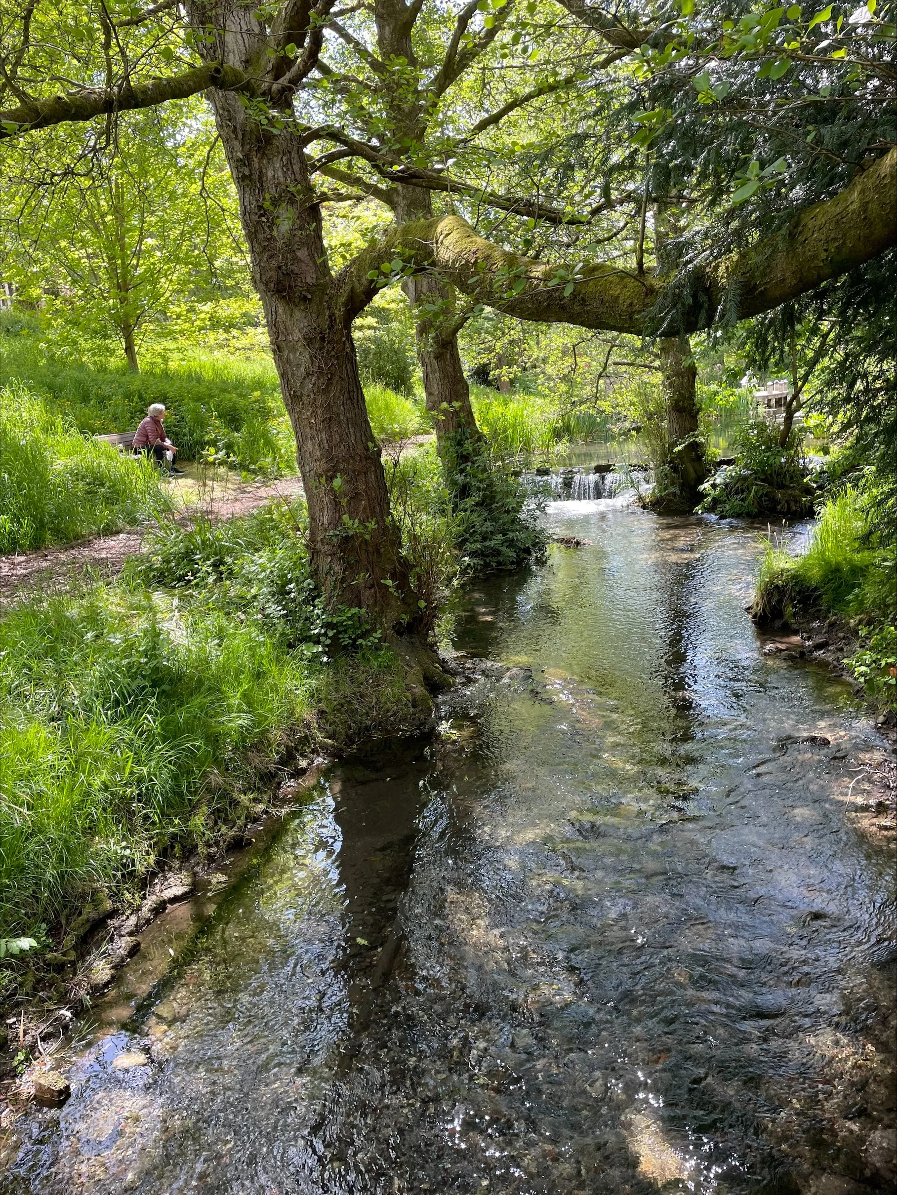 Ladies circle visit to West Lavington Manor - May 2026