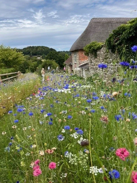 Visit by Codford and District Gardening Club to Gasper Cottage garden on 16th July 2025.