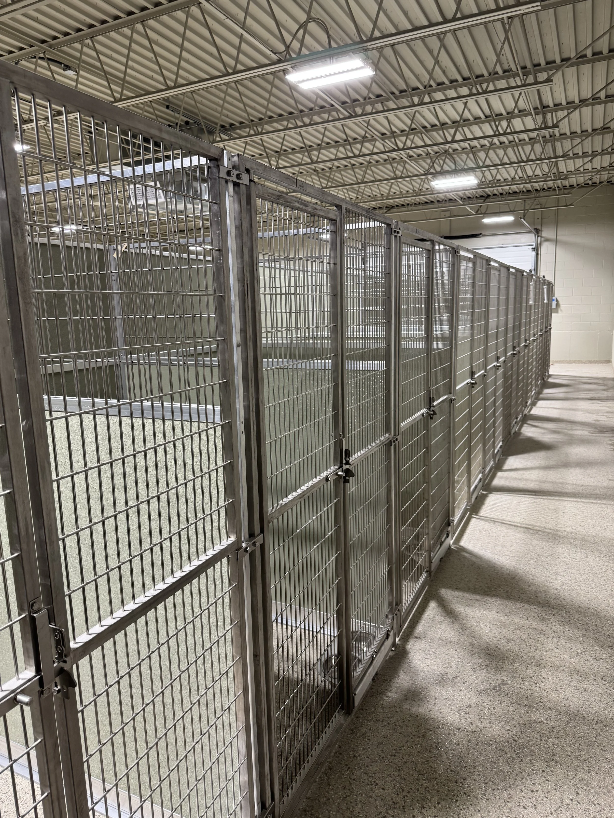 Standard Boarding Midmark Kennels Up!