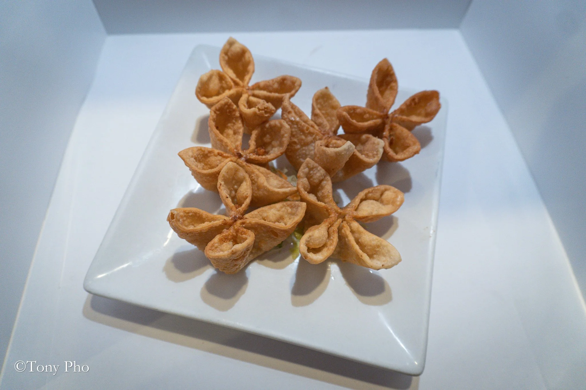 16A. CRAB CHEESE WONTON