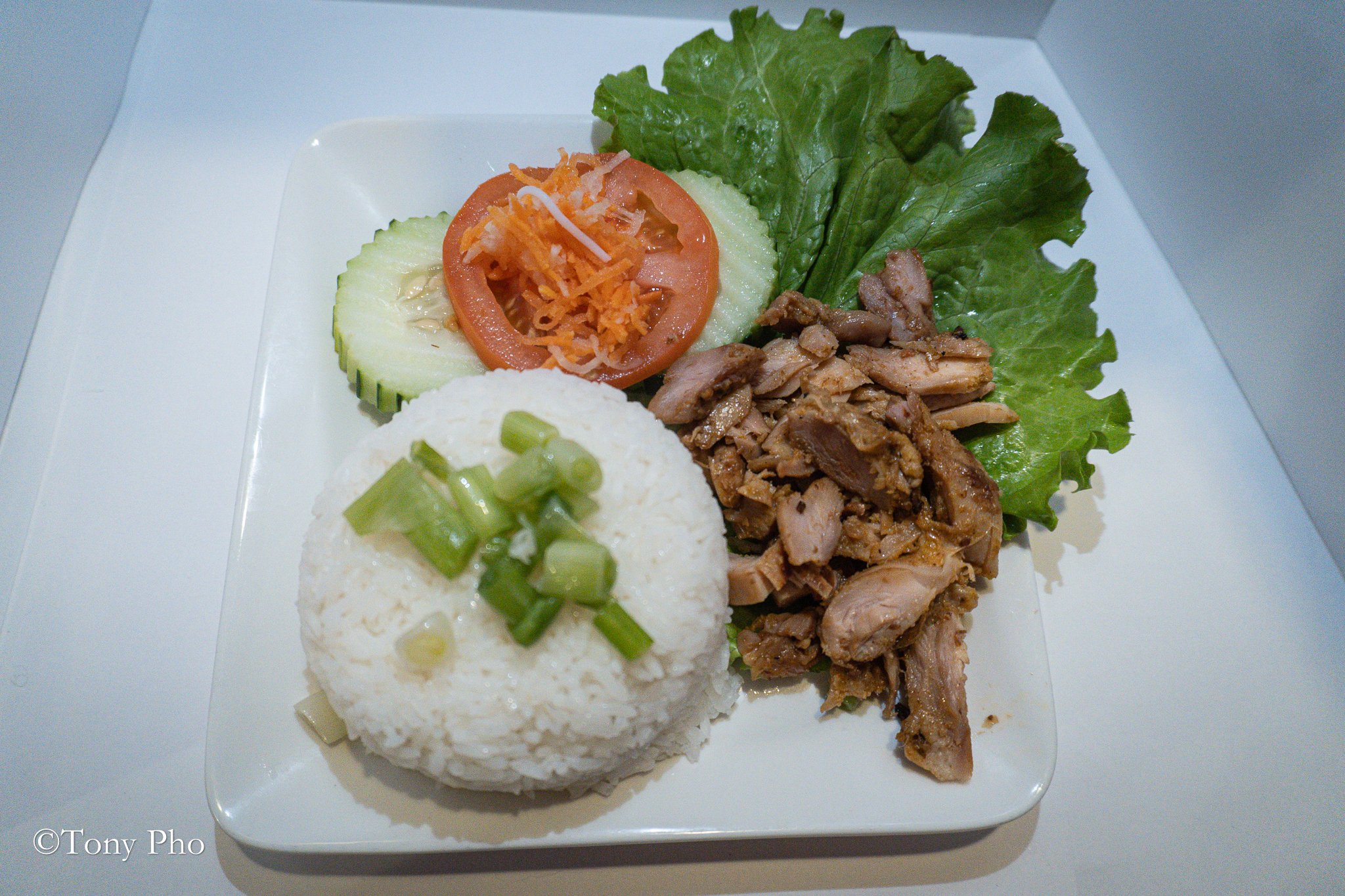 RICE AND GRILLED CHICKEN