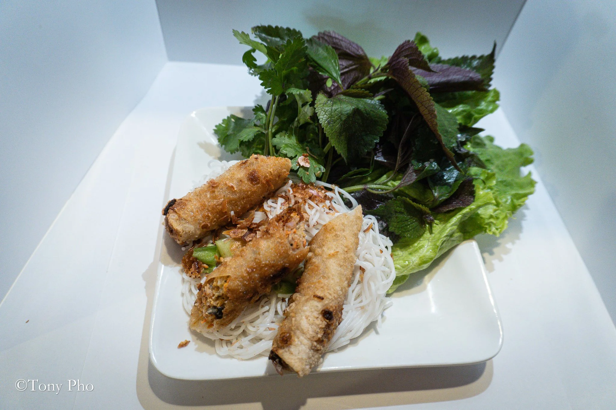 11A. VIETNAMESE EGG ROLL