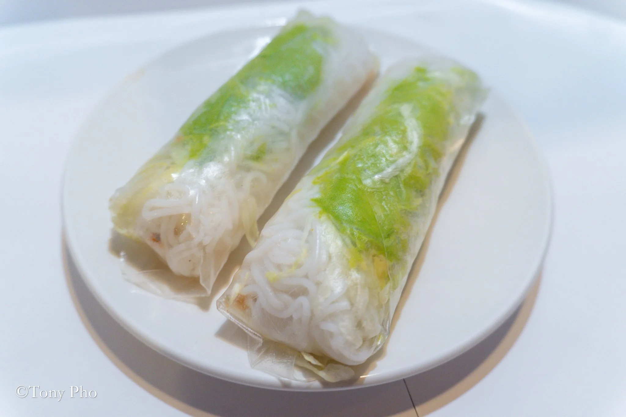 9A. SPRING ROLLS WITH GRILLED BEEF, SHRIMP & AVOCADO