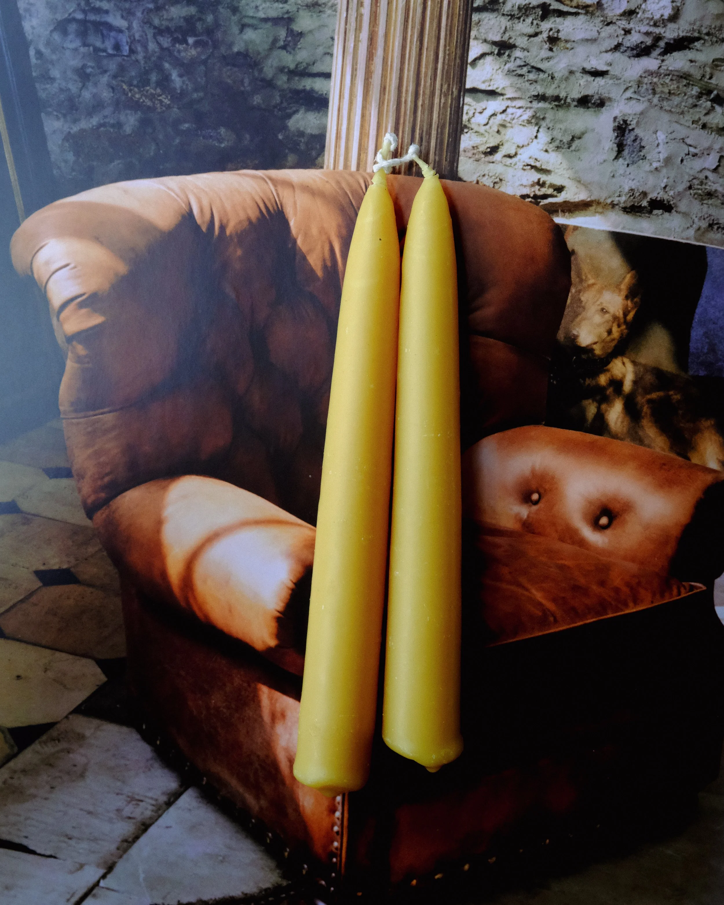 DSCF5295.jpg