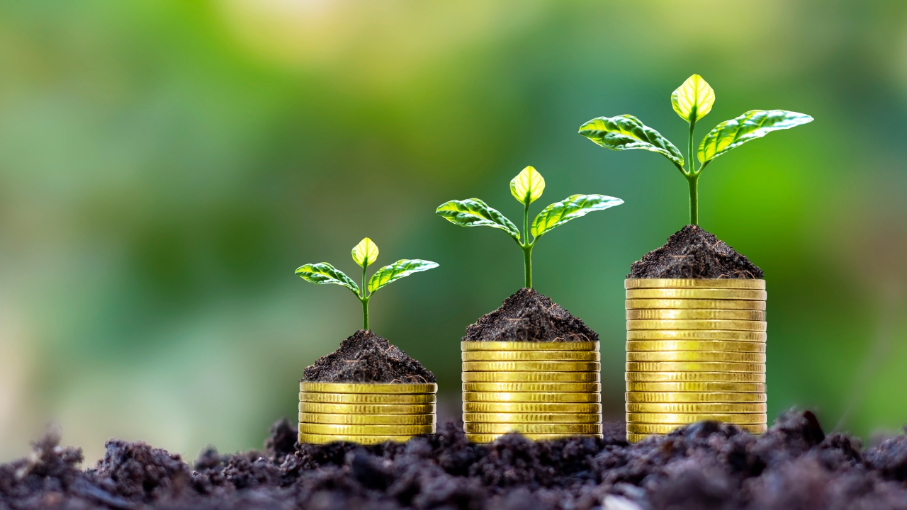 Major Negotiation Points for Endowments Investing in Private Equity Funds