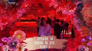 Episode 54