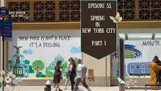 Episode 53