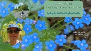 Episode 51