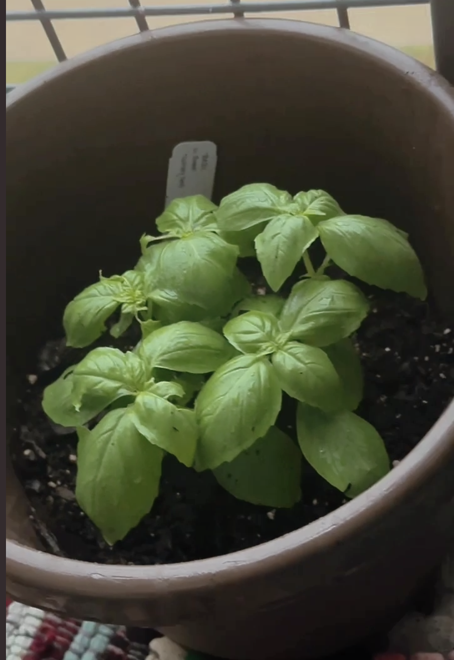 Image 4-22-26 at 8.59 PM.png