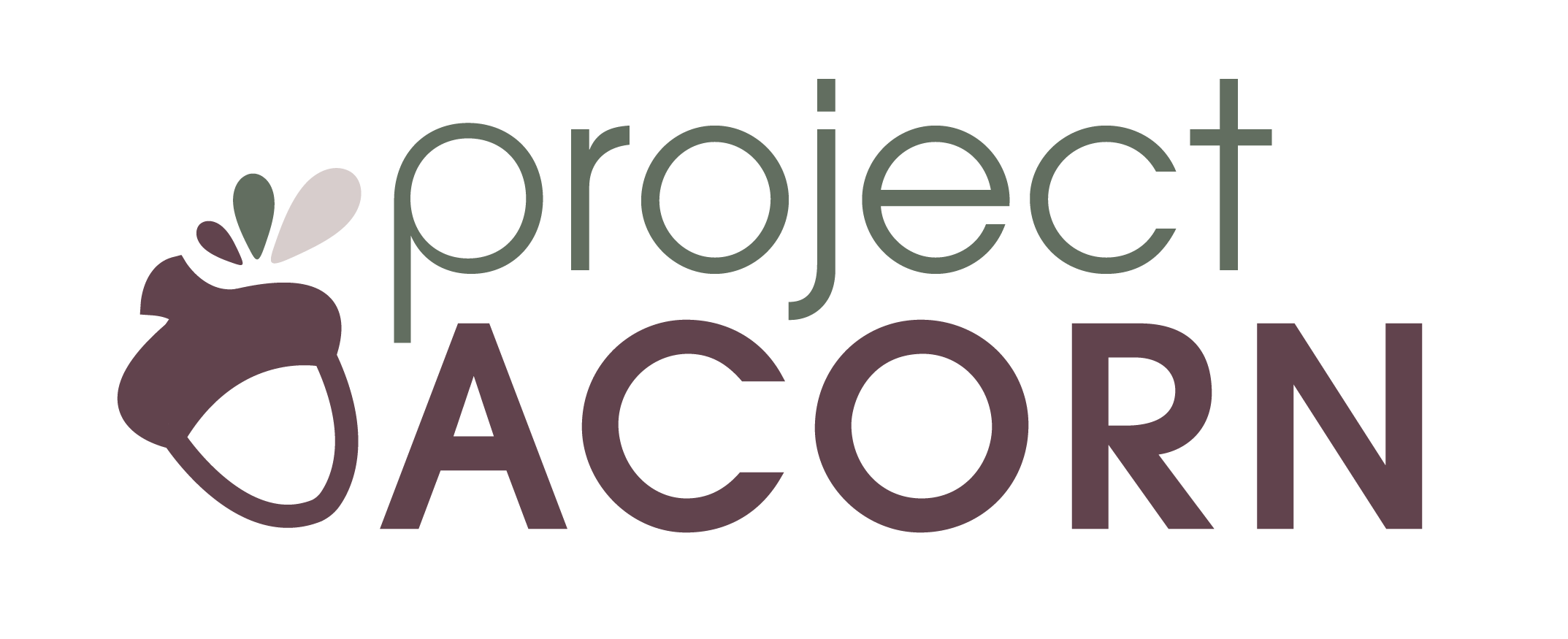 Project Acorn | Colorado IECMH — Bekman Psychology