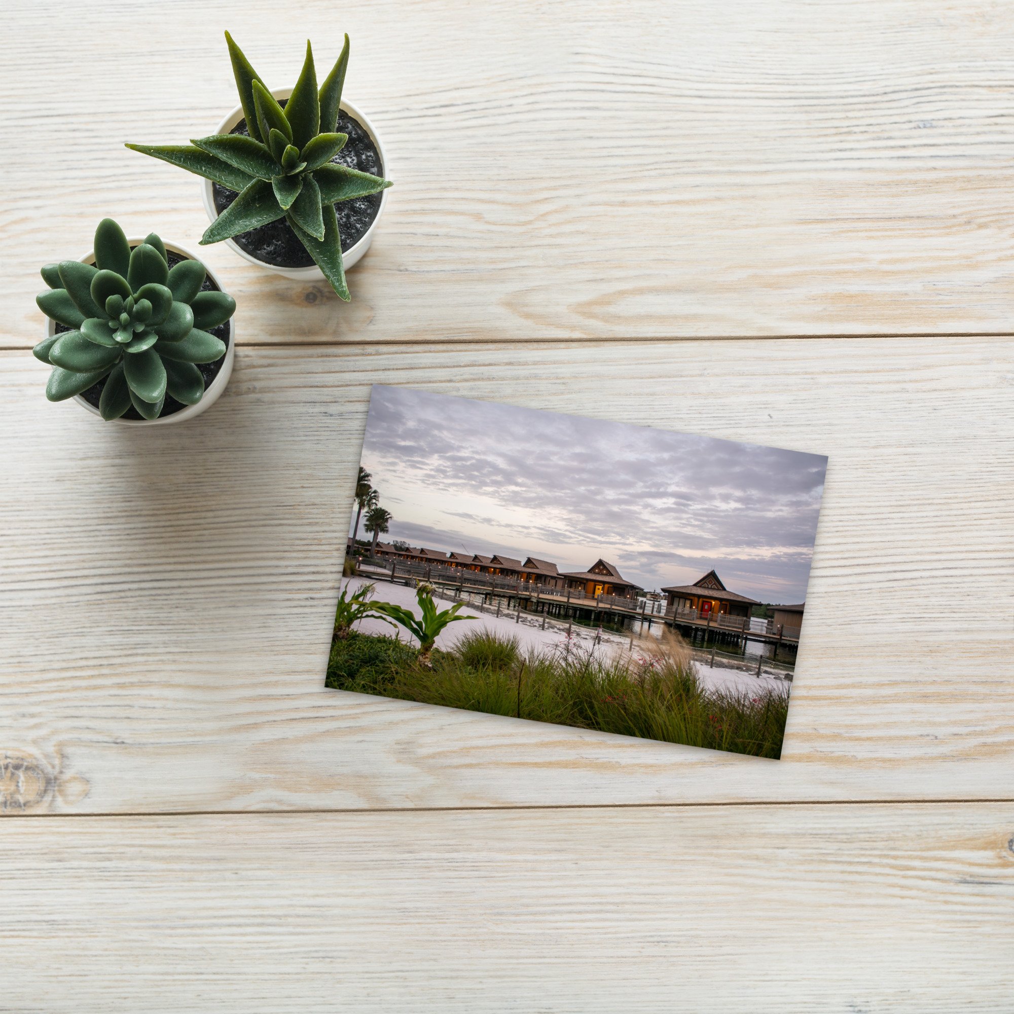 standard-postcard-4x6-front-67918c1a43f95.jpg
