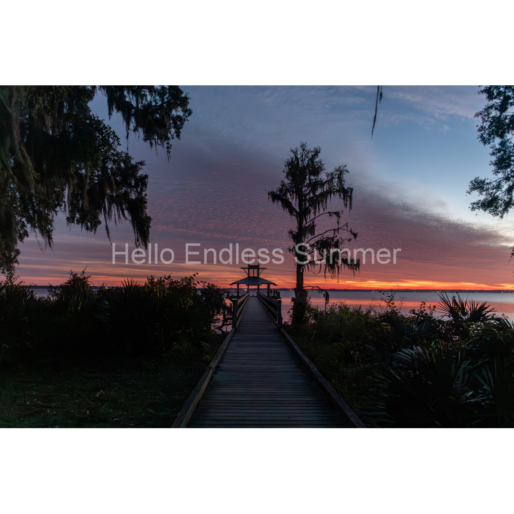 image_original_8ffebf616addfc6dfc4a8a6533fe4dbf.png