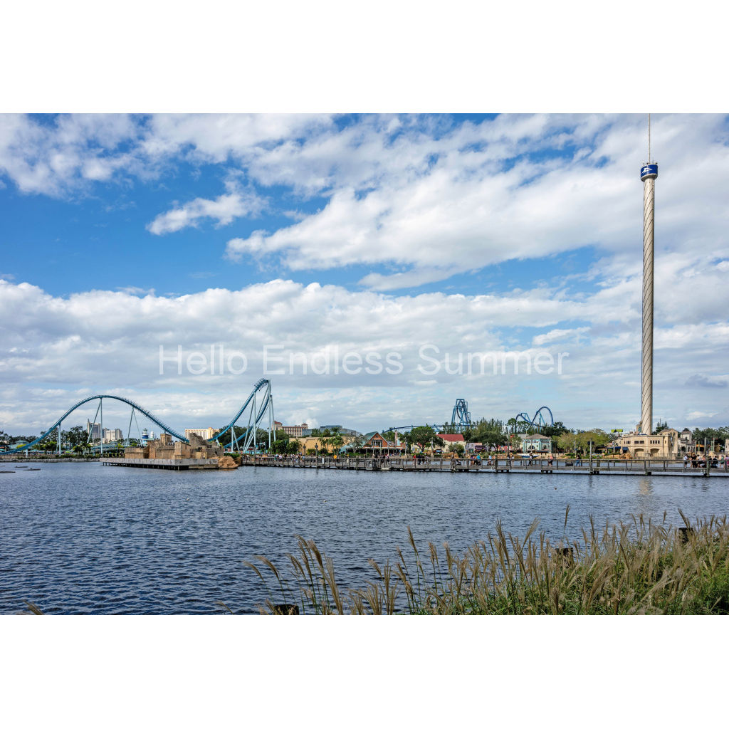 image_original_8ffebf616addfc6dfc4a8a6533fe4dbf.png