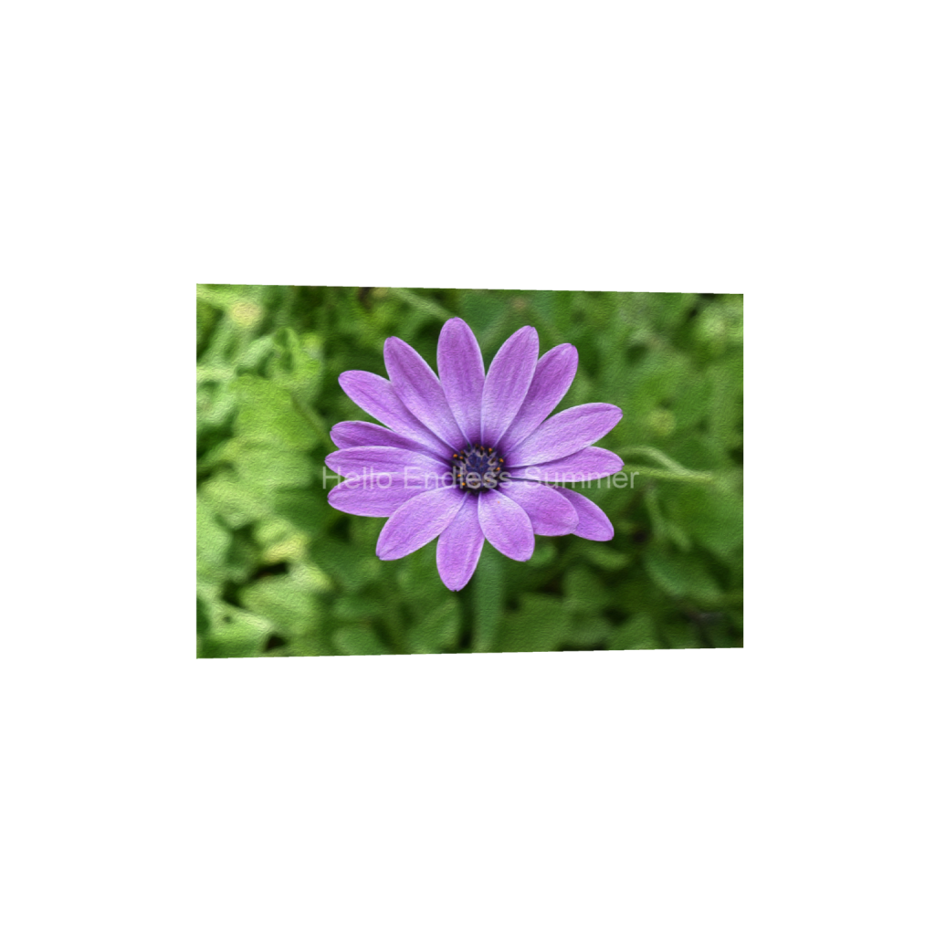 ptq_1_3_0_0_6000_4000_0_false_ffffff_0_0_8ffebf616addfc6dfc4a8a6533fe4dbf.png