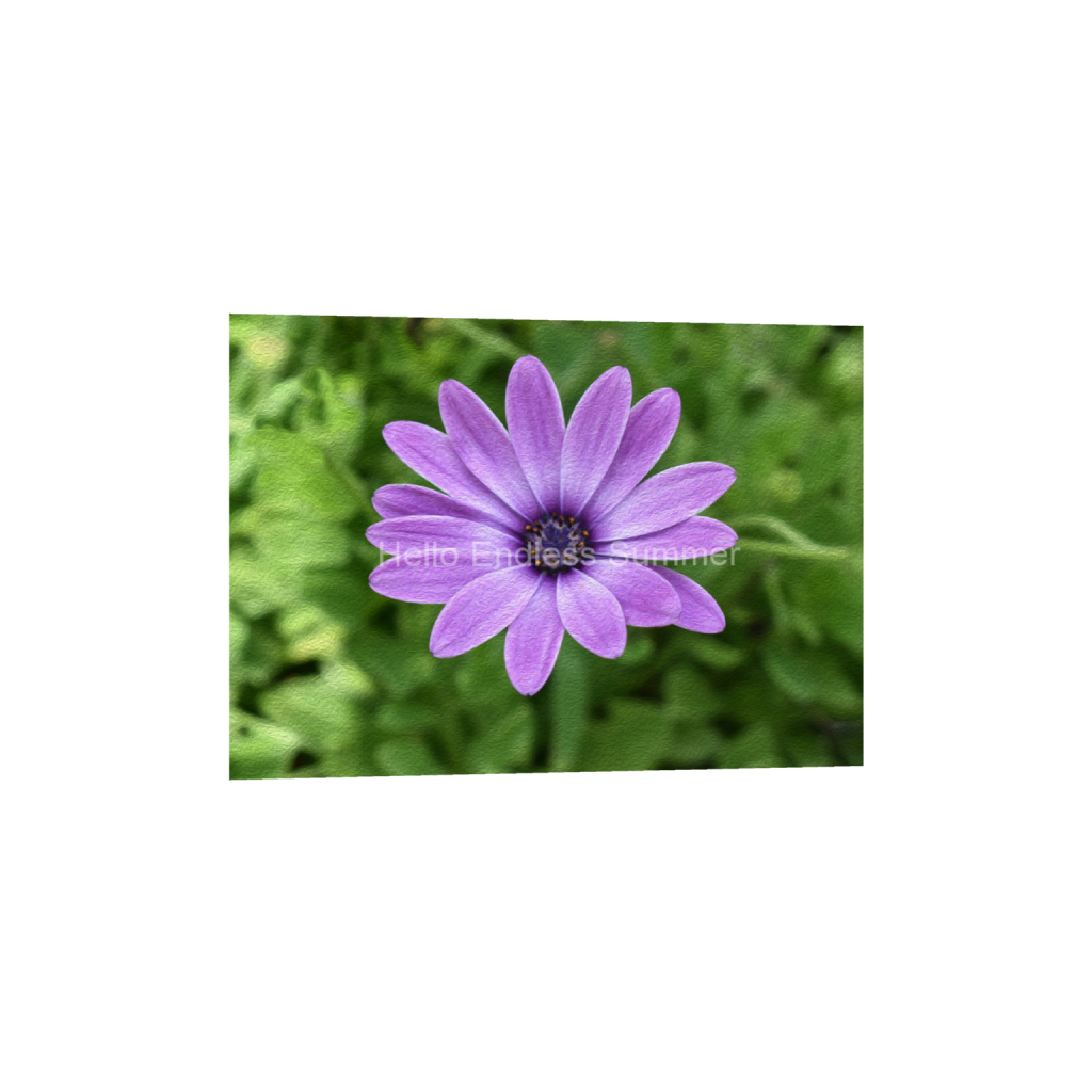 ptq_1_7_200_0_5600_4000_0_false_ffffff_0_0_8ffebf616addfc6dfc4a8a6533fe4dbf.png