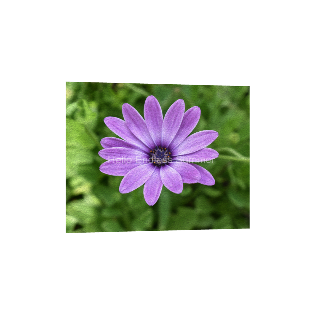 ptq_34_6_500_0_5000_4000_0_false_ffffff_0_0_8ffebf616addfc6dfc4a8a6533fe4dbf.png
