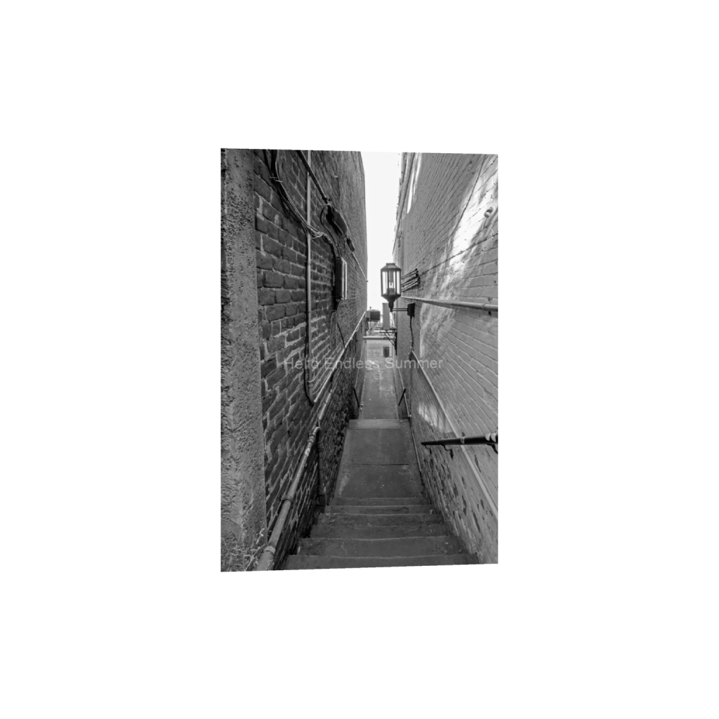 ptq_1_3_0_157_3540_5310_0_false_ffffff_0_0_8ffebf616addfc6dfc4a8a6533fe4dbf.png