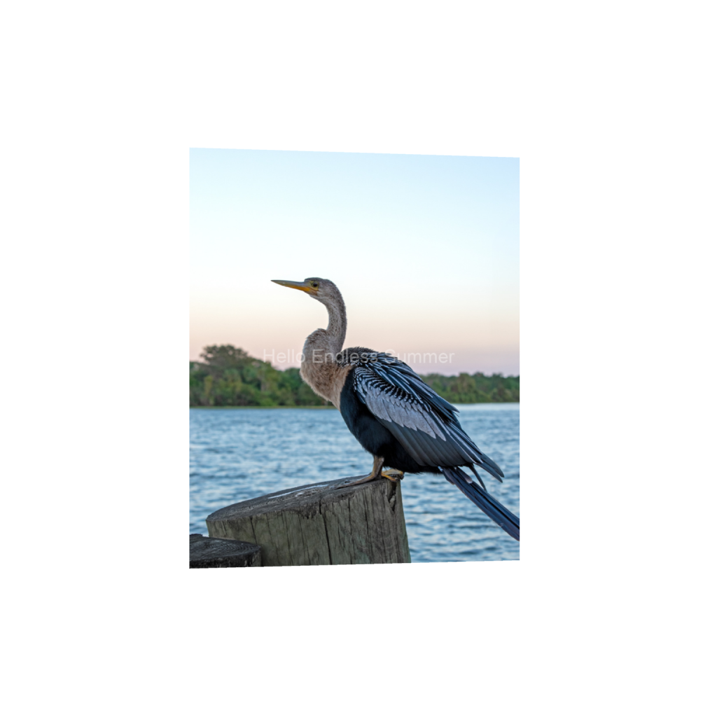 ptq_34_6_0_0_4000_5000_0_false_ffffff_0_0_8ffebf616addfc6dfc4a8a6533fe4dbf.png