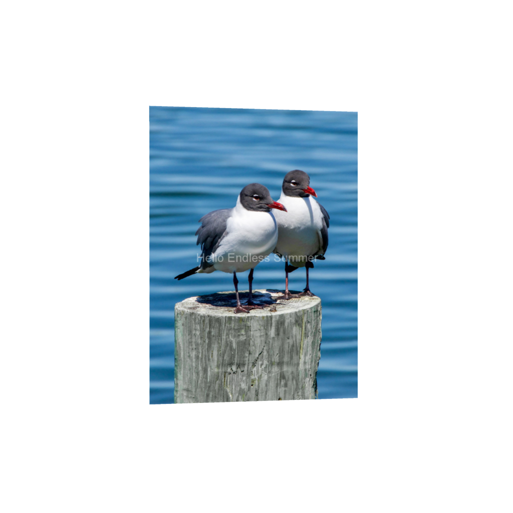 ptq_34_7_143_0_2028_2840_0_false_ffffff_0_0_8ffebf616addfc6dfc4a8a6533fe4dbf.png