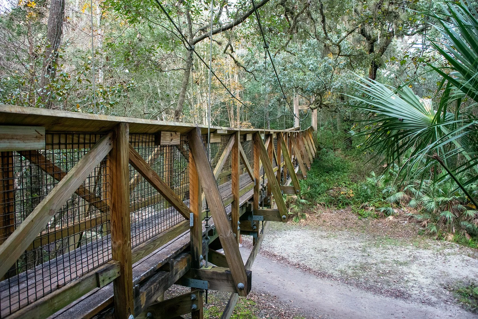 DSC_0792.jpg