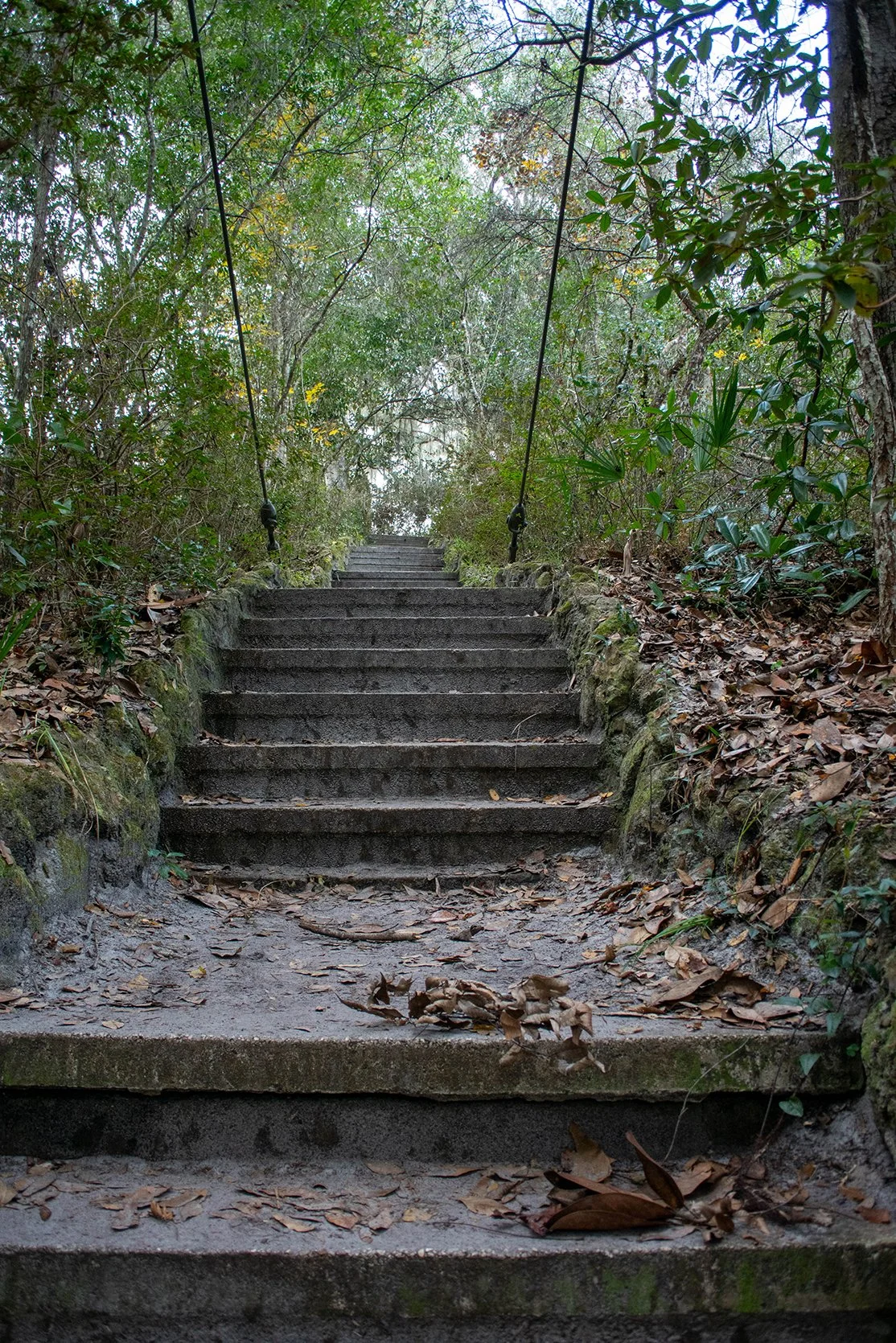 DSC_0800.jpg