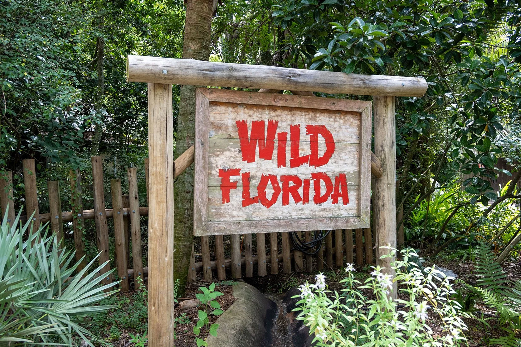 Jacksonville Zoo and Gardens: Visitor Guide for 2026