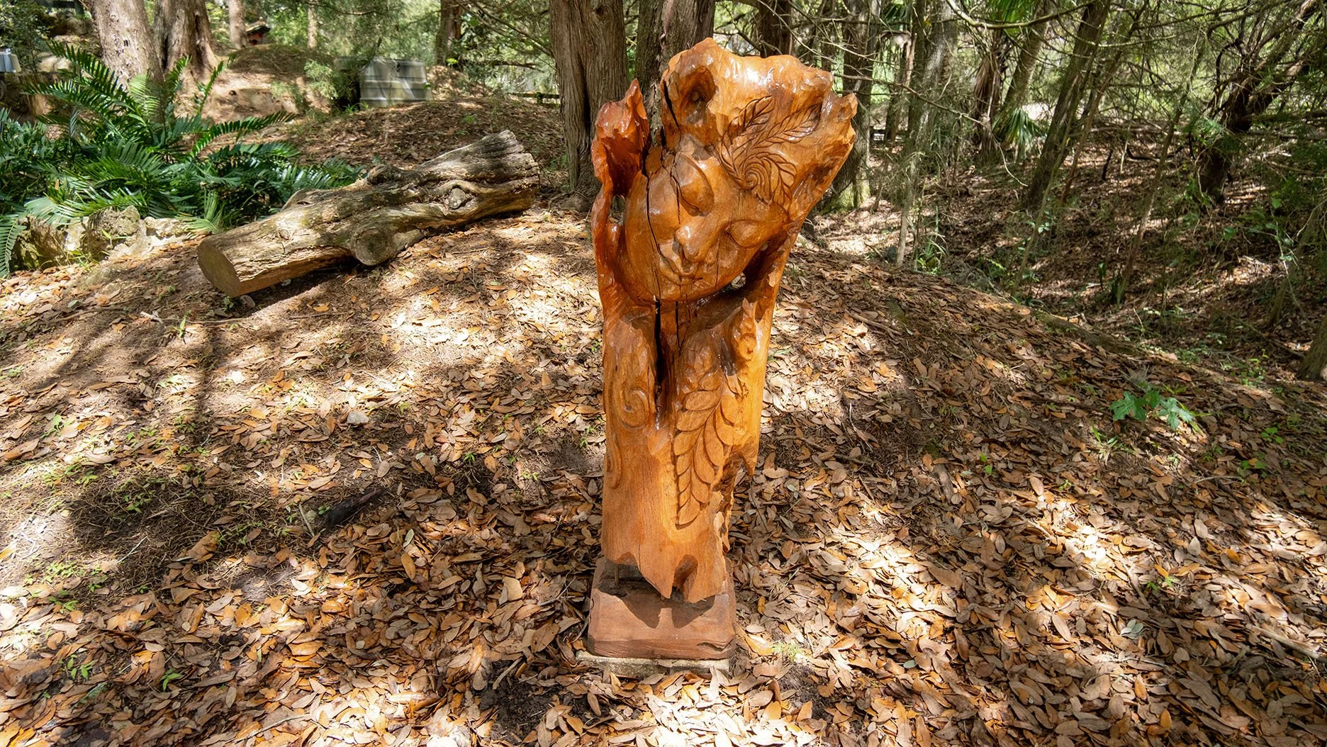 DSCF0824.jpg