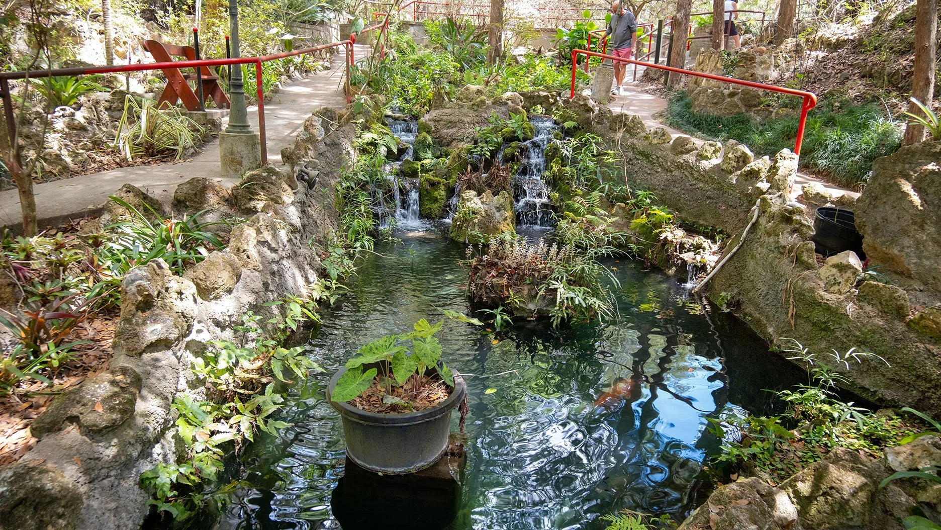 DSCF0858.jpg