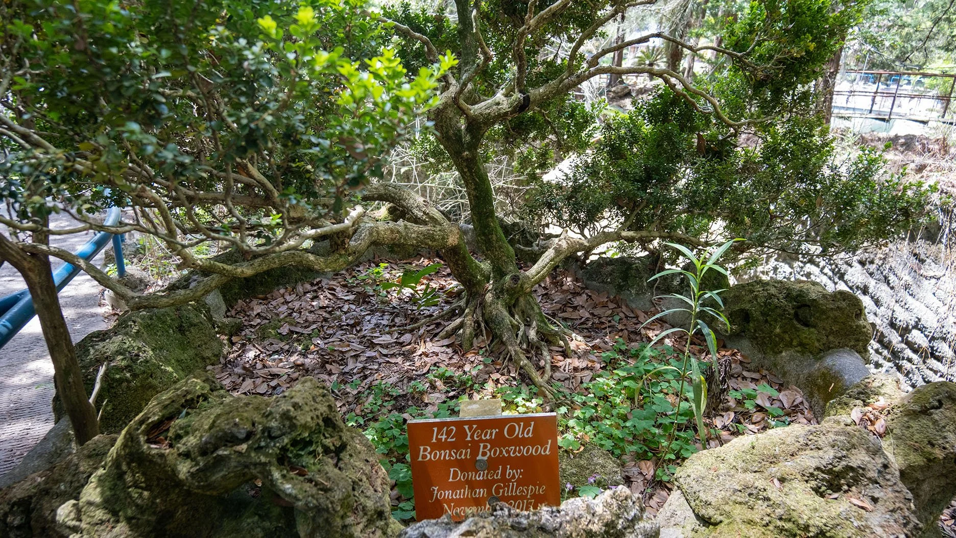DSCF0864.jpg