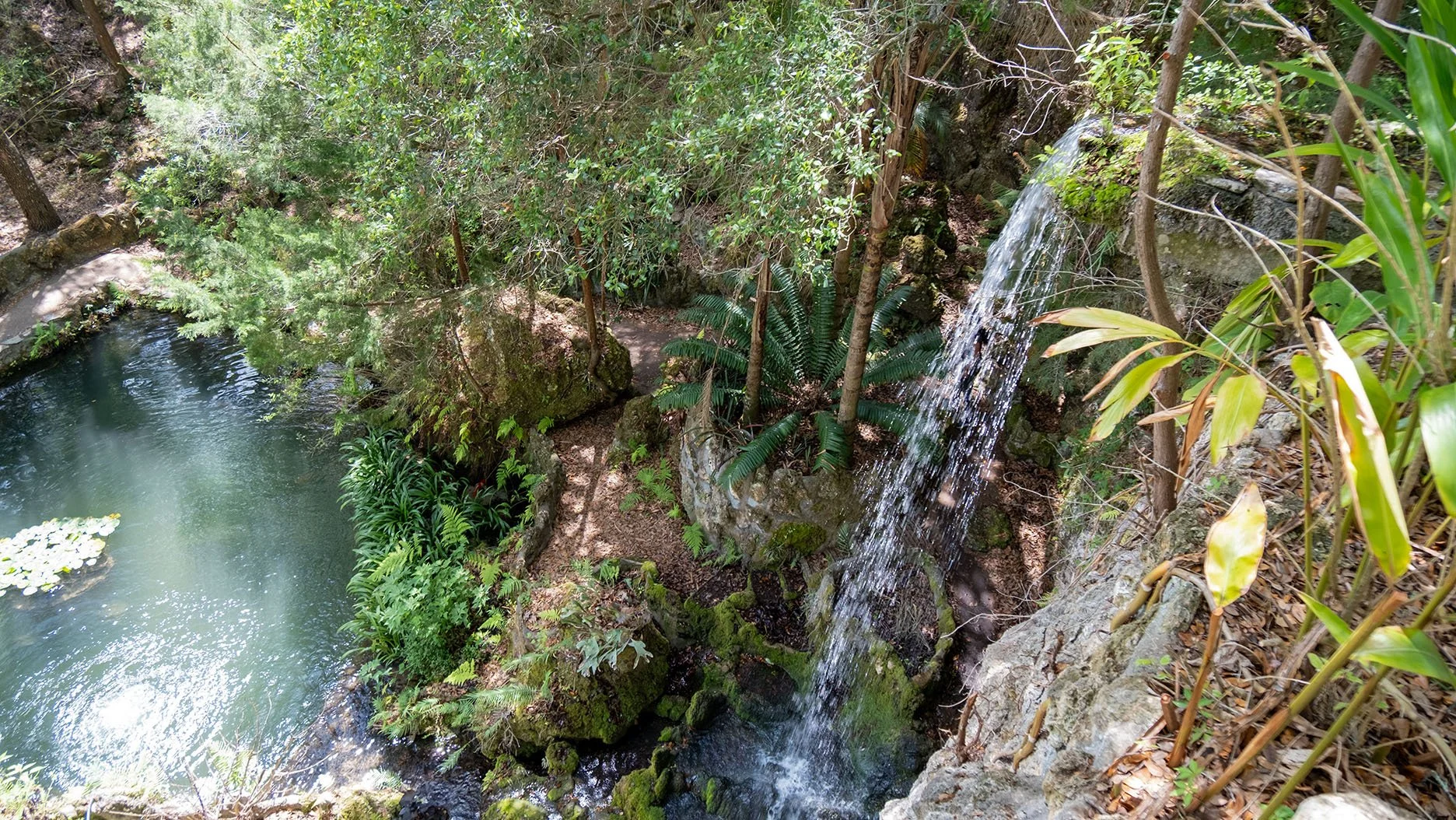 DSCF0785.jpg