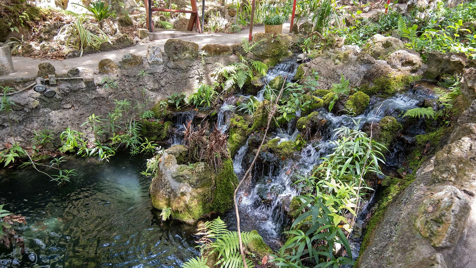 DSCF0850.jpg