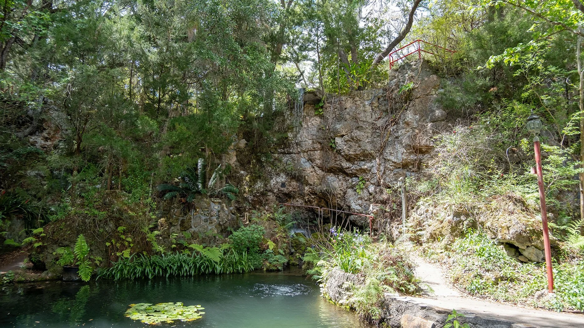 DSCF0969.jpg