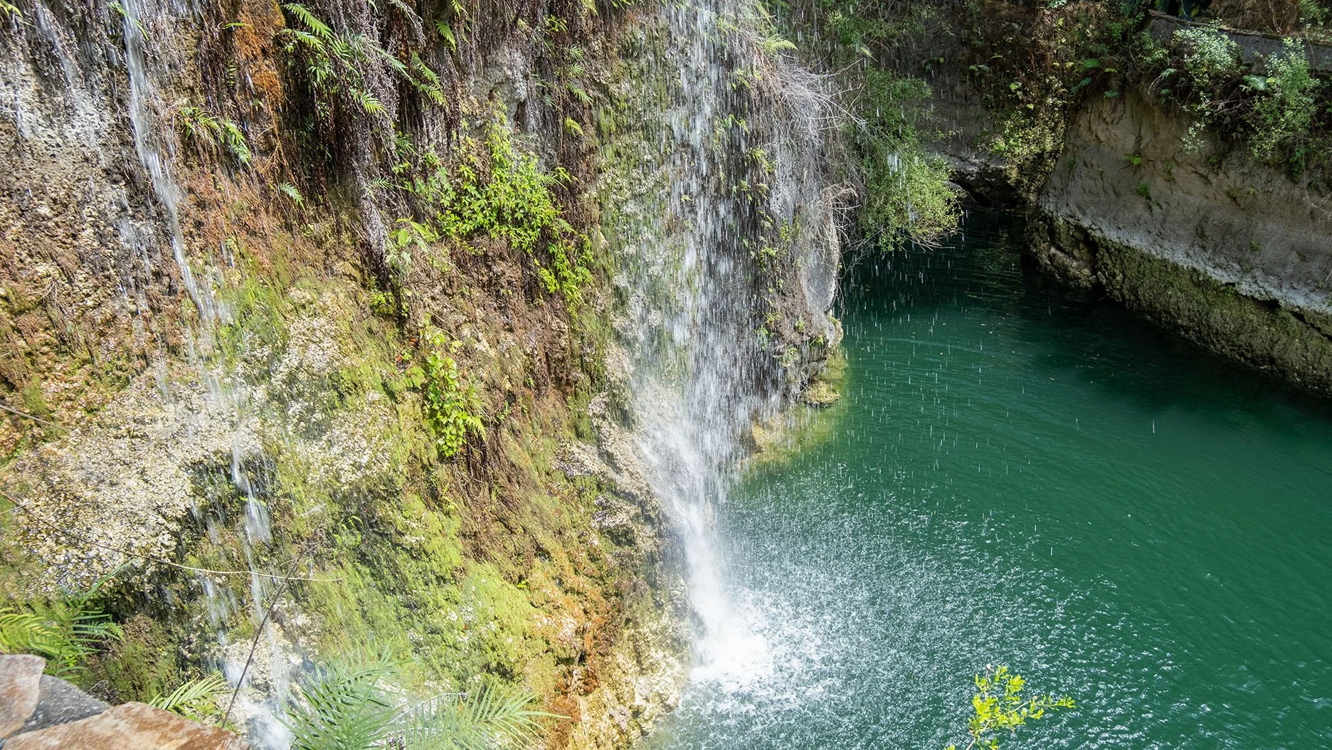 DSCF1076.jpg