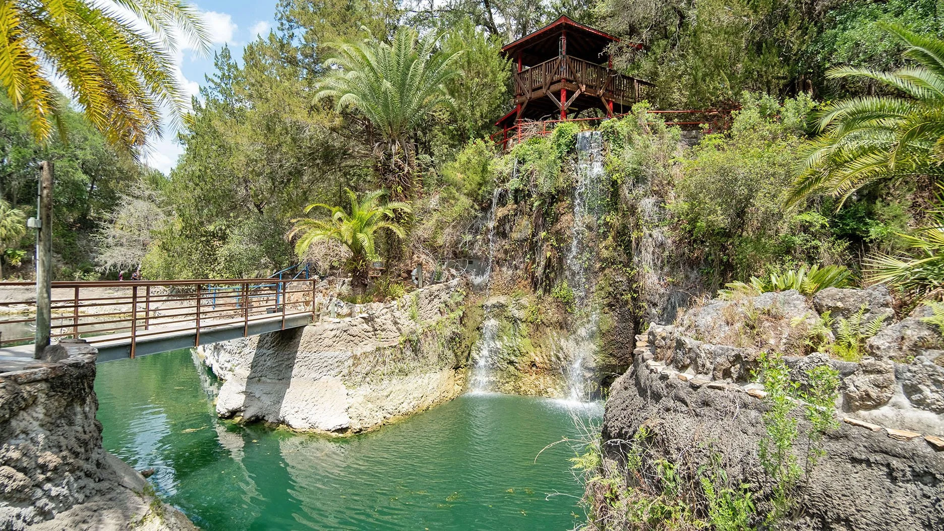 Cedar Lakes Woods &amp; Gardens: One of Florida’s Most Beautiful Hidden Gems!