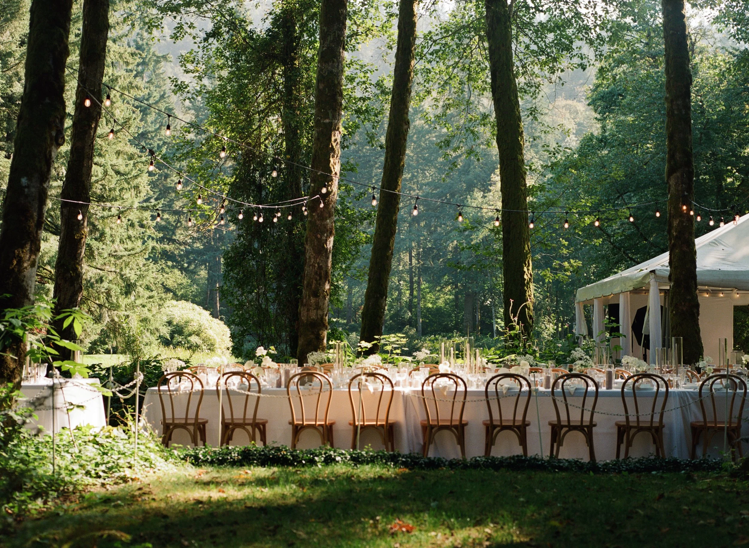 oregon film photographer1559.JPG