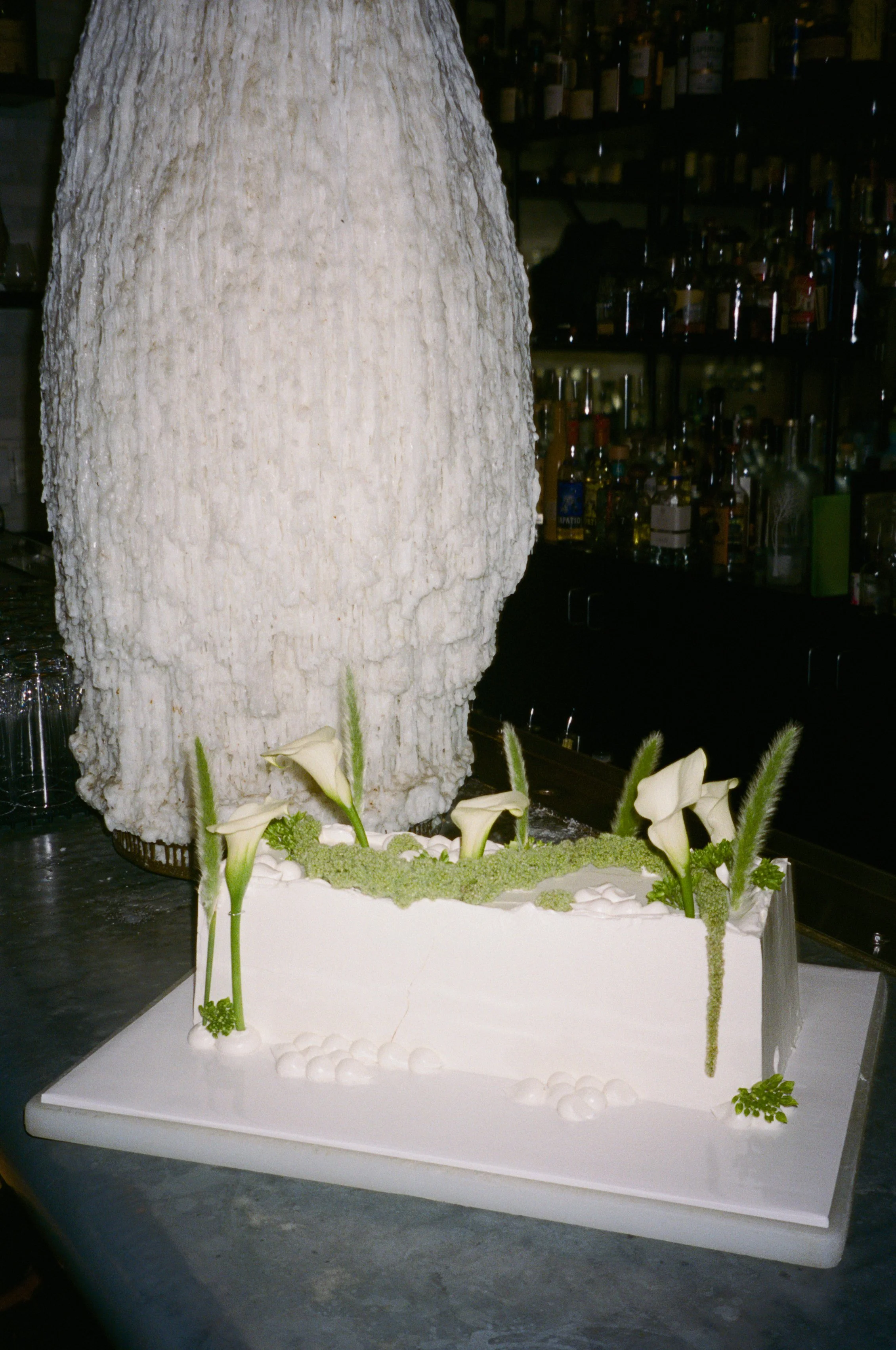 oregon film wedding photographer-20.jpg