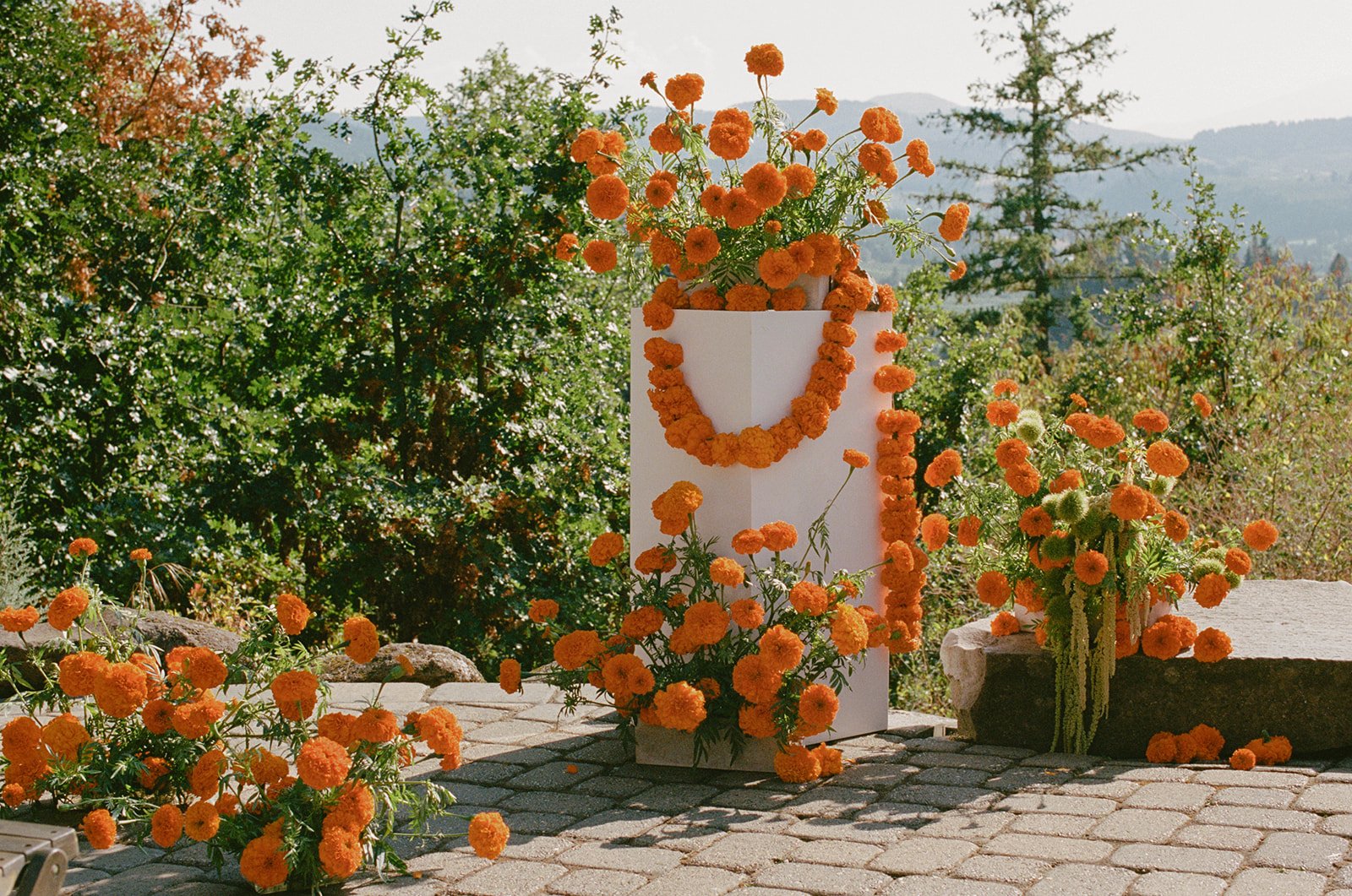 photographers portland or-80.jpg