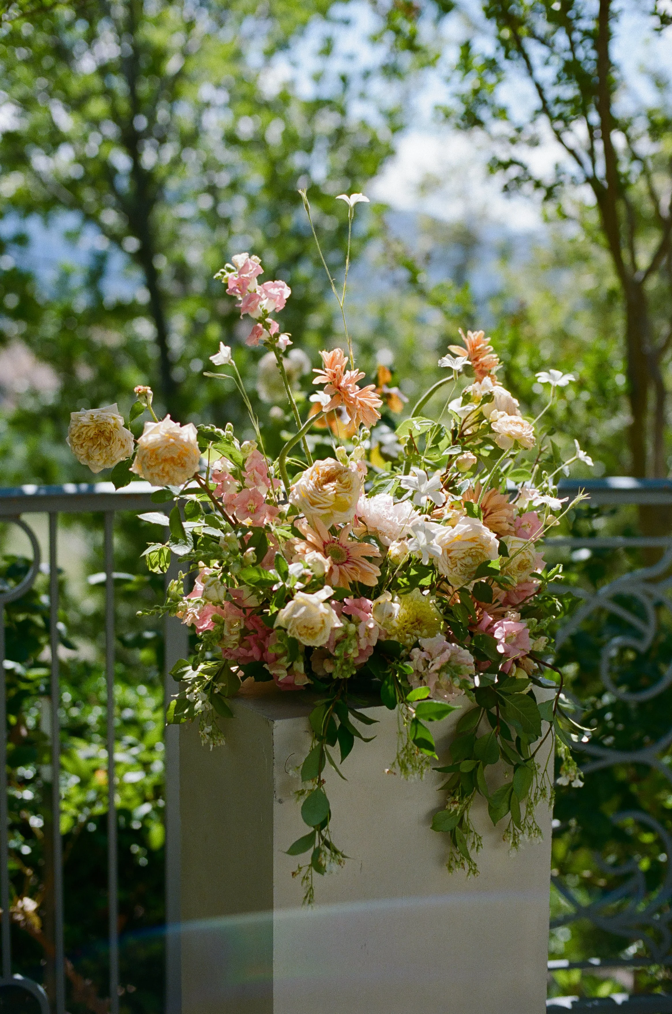 portland-or-wedding-photographer10.jpg