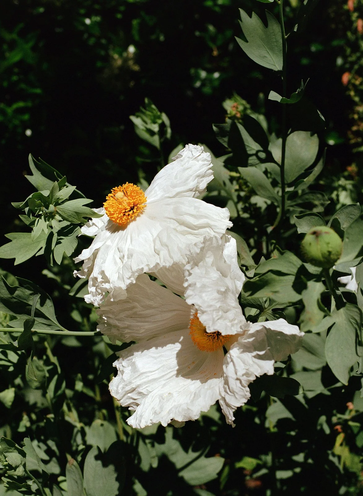 portland-wedding-photographer-47_websize (1).jpg
