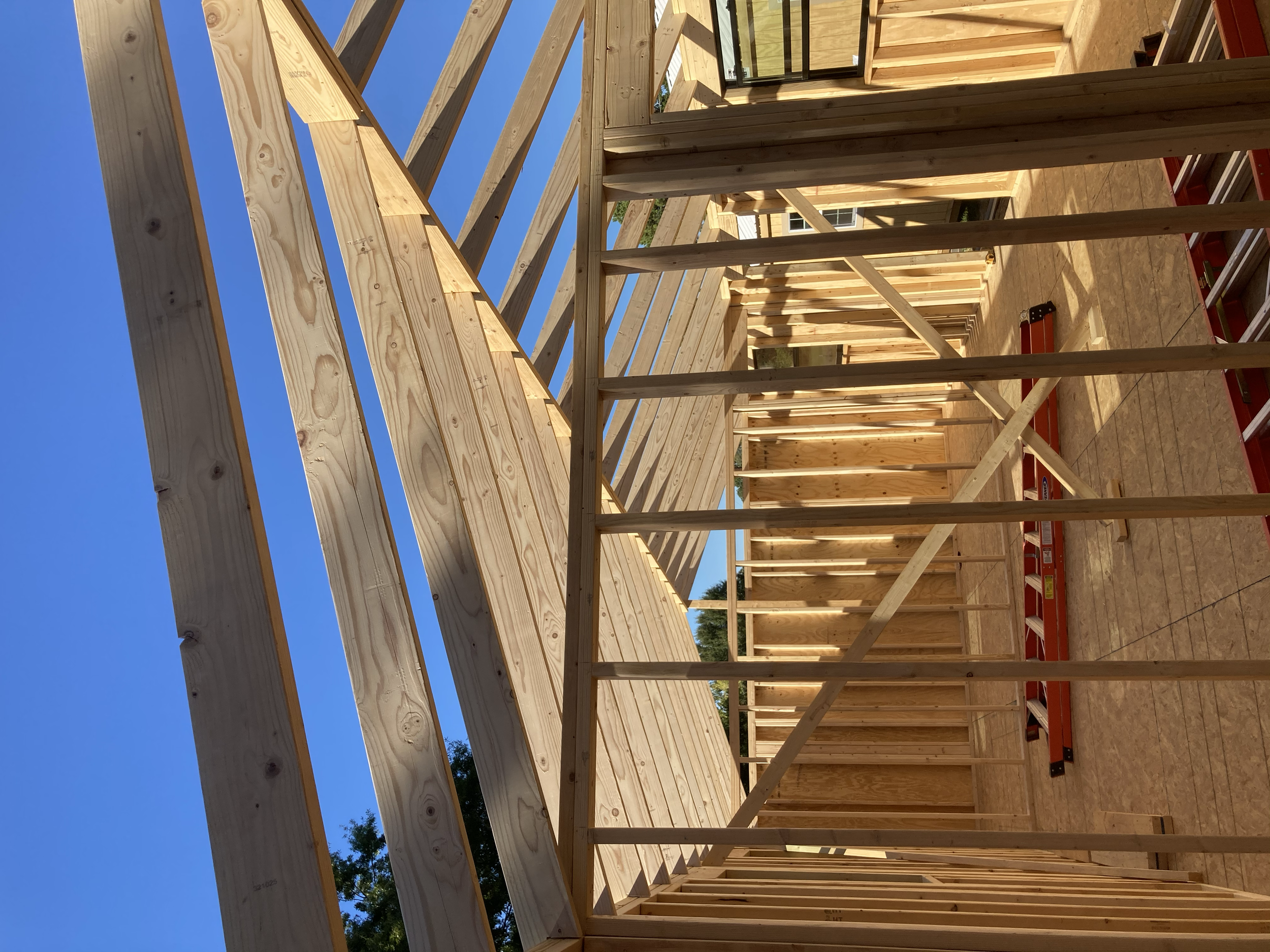Tiny Home Framing